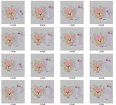 Charming Teddy Bear Alphabet Embroidery Pack - Full Alphabet A to Z - FineryEmbroidery